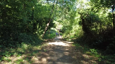 Drone shot, flying backwards through woodland in Reading, UK Stock Footage 318192604