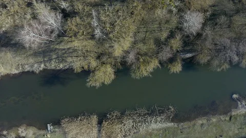Drone shot flying forward on spring river in forest. Aerial view of spring Video stock 127698918
