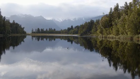 Drone shot flying low over reflective lake over ducks and birds Stock Footage 86502435