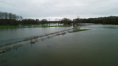  Drone Shot Flying Low Over Floods in Norfolk, England, with Birds, Winter  Video stock 328581699