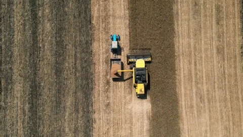 Drone shot flying over combine harvesters working Stock Footage 249281741