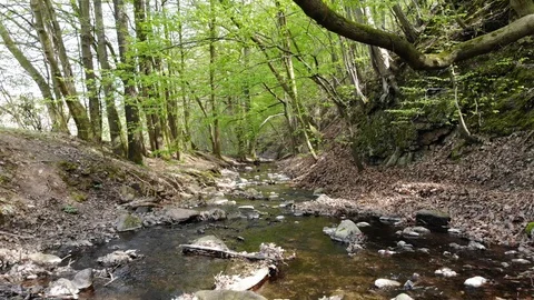 Drone shot of flying over forest creek in Saxony, Germany Video stock 107286455