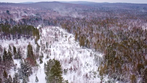 Drone shot flying over forest in northern michigan in winter Vídeos de archivo 334765535