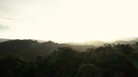 Drone shot that is flying over a large forest that covers the hills Video stock 142761520