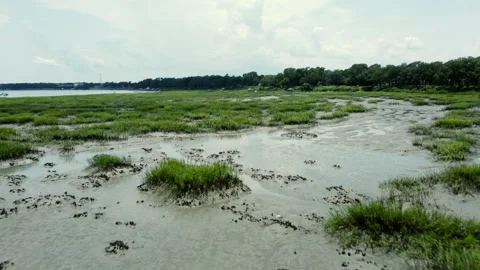 Drone shot flying over low tide and mud in South Carolina Stock Footage 246750621