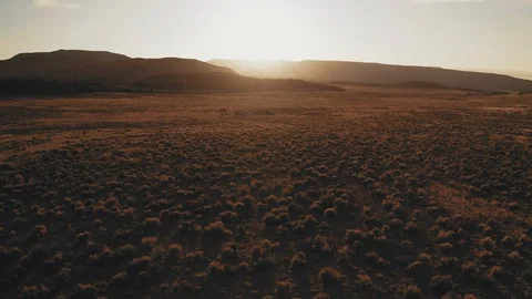 Drone shot flying over sagebrush under golden sunset Stock Footage 128656169
