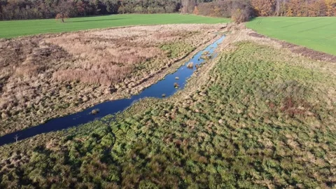Drone Shot flying over small Lake field Trees Stock Footage 203792884