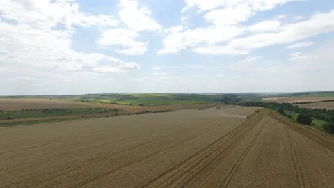 Drone shot flying over three combine harvesters working on wheat field Stock Footage