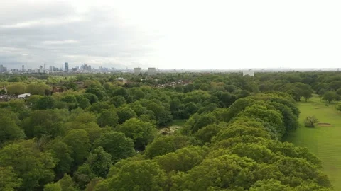 Drone shot flying over tree tops, Nature and cityscape background in 4K reso Stock-Footage 155702857
