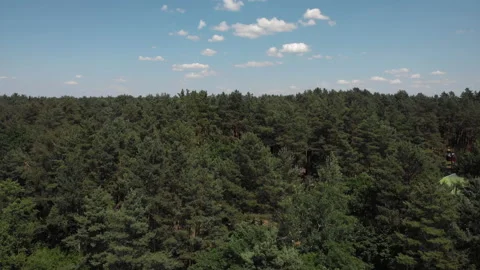 Drone shot flying over treetops, nature background footage. Stock Footage 170567225