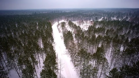 Drone shot flying over wintery landscape in the Upper Peninsula of Michigan 動画素材 334766674