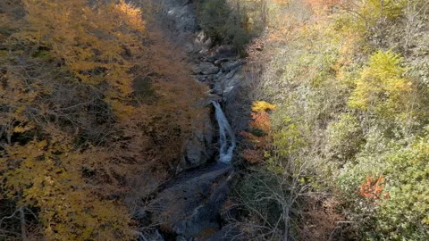Drone shot flying through fall colors towards waterfall Stock Footage 254602850