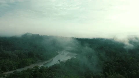Drone shot flying through the mist and slowly flying down revealing Stock Footage 142760431