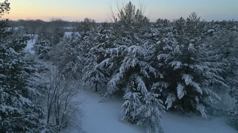 Drone Shot Flying Through Snow Covered Trees Near Hemlock Ln In Dayton MN Stock Footage 232568113