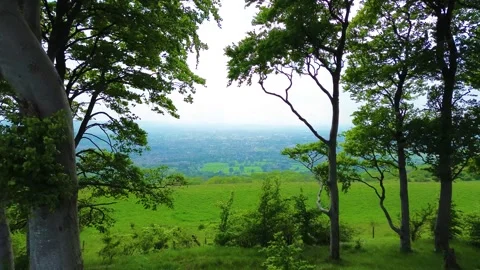 Drone shot flying through trees revealing mountains in the background Video stock 275626367