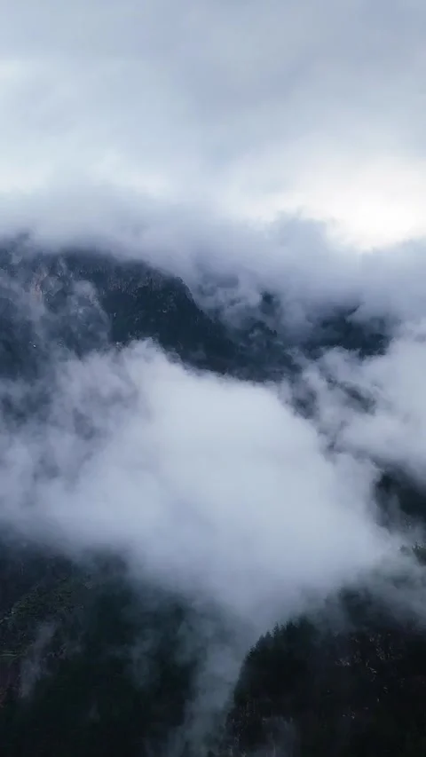 Drone Shot of Fog Rolling Through Forested Mountain Slopes Vertical 1080p Stock Footage 331265313