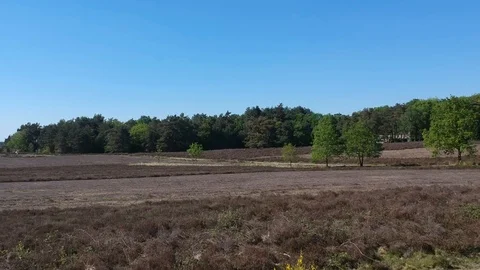 Drone shot - Stock Footage 89498470