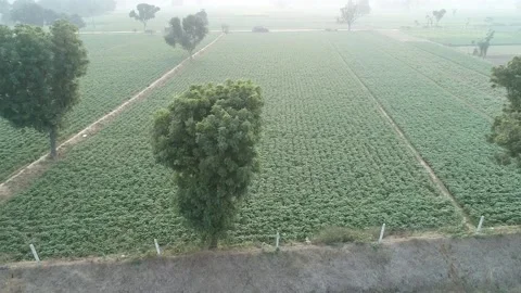 Drone shot Stock Footage 186026017