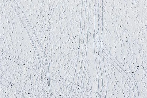 Drone shot of footprints in the snow texture Stock Photos