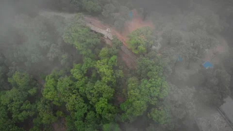 Drone shot of a forest emerging from clouds in the hilly mountains Stock Footage 286810027