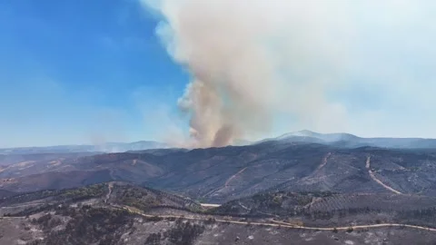 Drone shot of forest fire Stock Footage 312336220