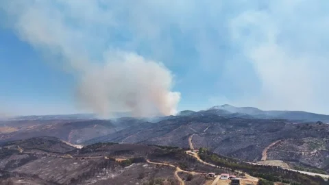 Drone shot of forest fire Stock Footage 312336245
