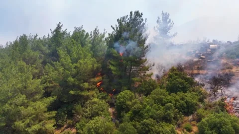 Drone shot of forest fire Stock Footage 312336246