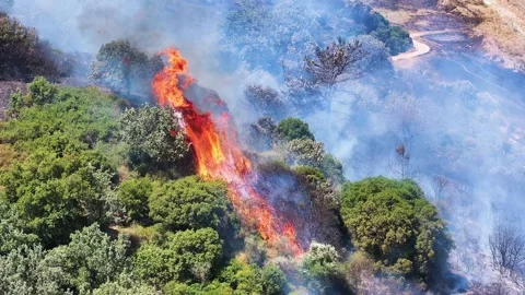 Drone shot of forest fire Stock Footage 312336322