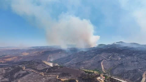 Drone shot of forest fire Stock Footage 312336409