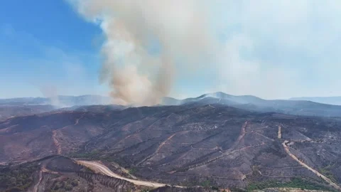Drone shot of forest fire Stock Footage 312336520