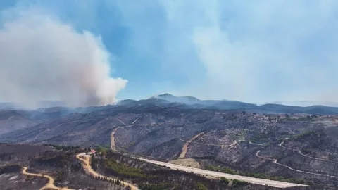 Drone shot of forest fire Stock Footage 312336527