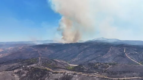 Drone shot of forest fire Stock Footage 312336546