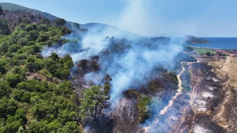 Drone shot of forest fire Stock Footage 312336896