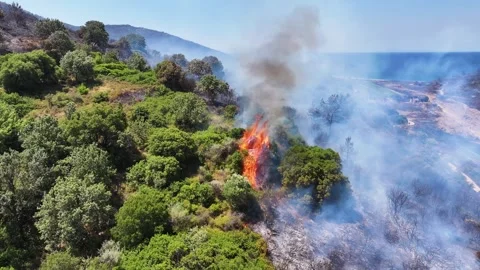Drone shot of forest fire Stock Footage 312336922