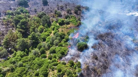 Drone shot of forest fire Stock Footage 312337146