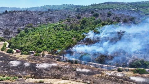 Drone shot of forest fire Stock Footage 312337338