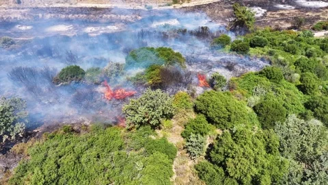 Drone shot of forest fire Stock Footage 312338009