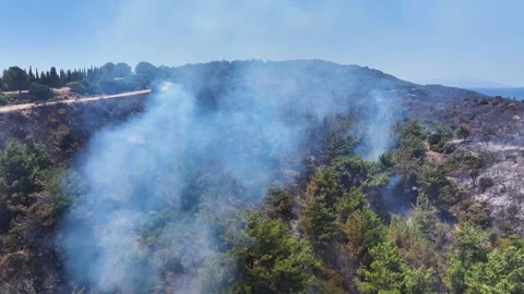 Drone shot of forest fire Stock Footage 312338187