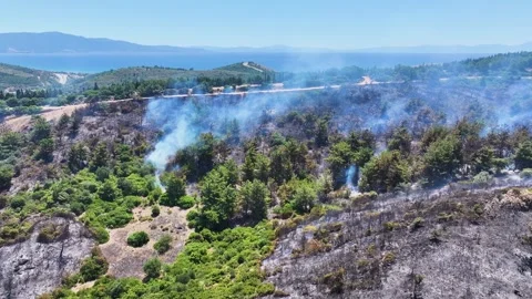 Drone shot of forest fire Stock Footage 312338192