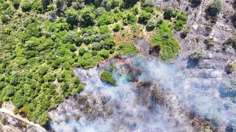 Drone shot of forest fire Stock Footage 312338194