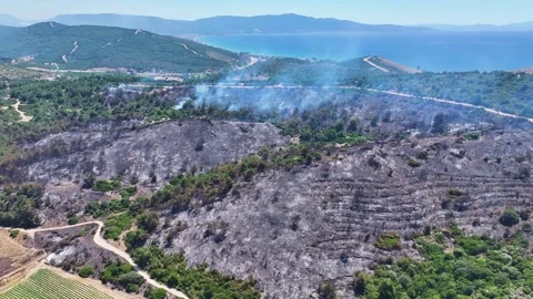 Drone shot of forest fire Stock Footage 312338212