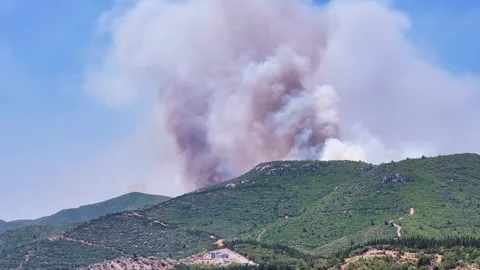 Drone shot of forest fire Stock Footage 312338398