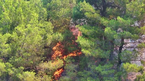 Drone shot of forest fire Stock Footage 312338507