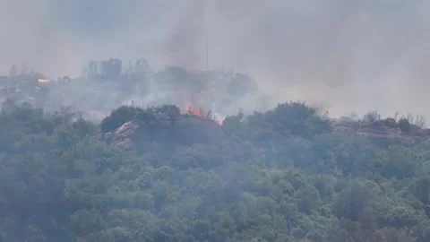 Drone shot of forest fire Stock Footage 312338521