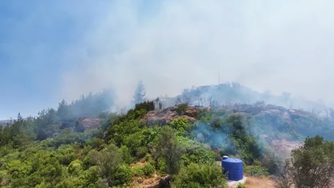 Drone shot of forest fire Stock Footage 312338523