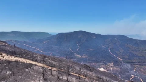 Drone shot of forest fire Stock Footage 312338562