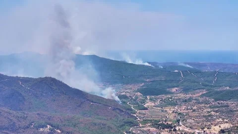 Drone shot of forest fire Stock Footage 312338724