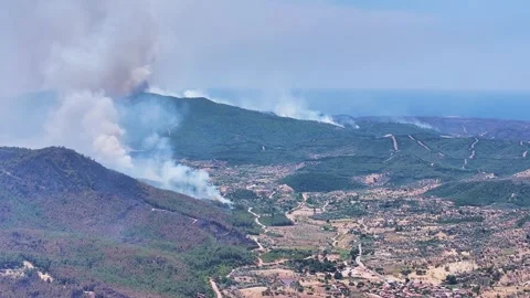 Drone shot of forest fire Stock Footage 312338913