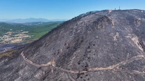 Drone shot of forest fire Stock Footage 312339066