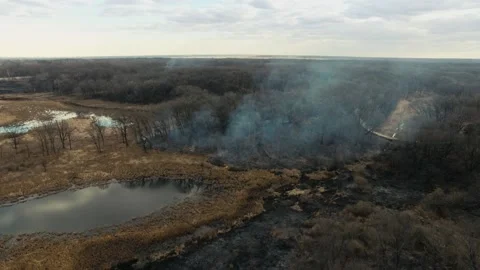 Drone shot of a forest in flames and smoke Stock Footage 233703601